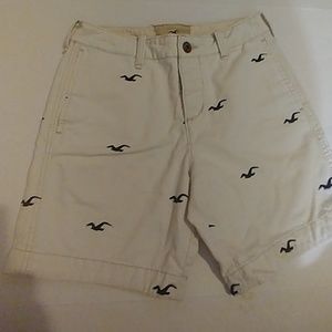 Men Hollister Logo Shorts (28)